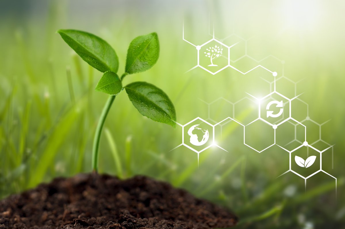 Emisyon Yönetmeliği