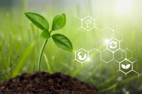 Emisyon Yönetmeliği