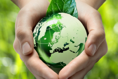 Türkiye'de Sürdürülebilirlik ile İlgili Yönetmelikler